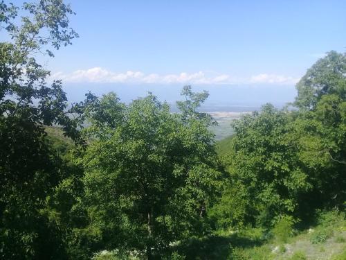 Hostal Guest House Pano