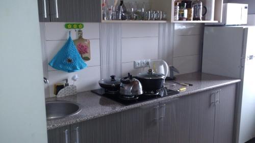 Zaza's Apartments In Kobuleti