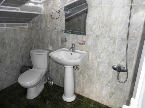 Hotel Neli Telavi