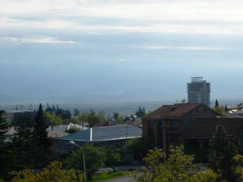Hotel Neli Telavi