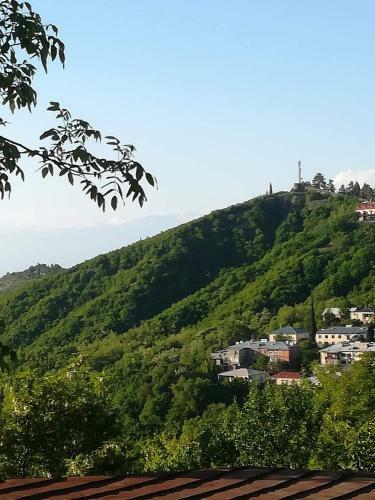 Hostal Guest House Irma