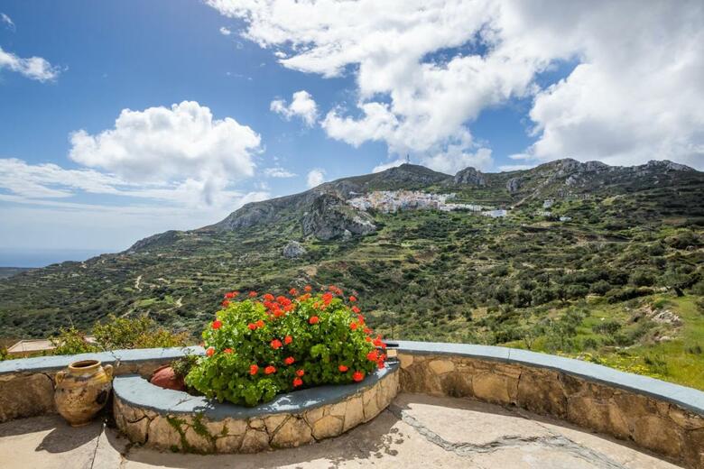Olive Grove Cottage