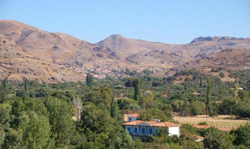 Hostal Guesthouse Karidia