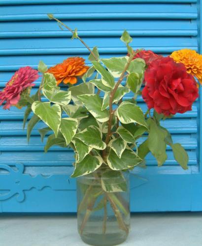 Hostal Guesthouse Karidia