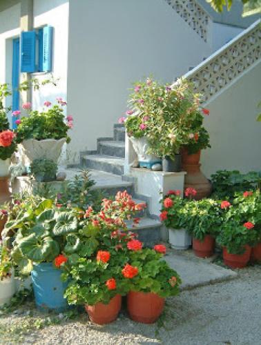 Hostal Guesthouse Karidia
