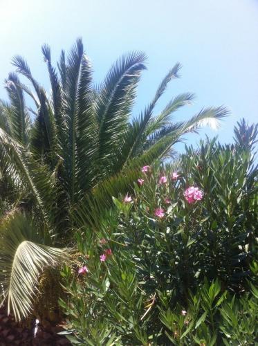 Hostal Guesthouse Karidia