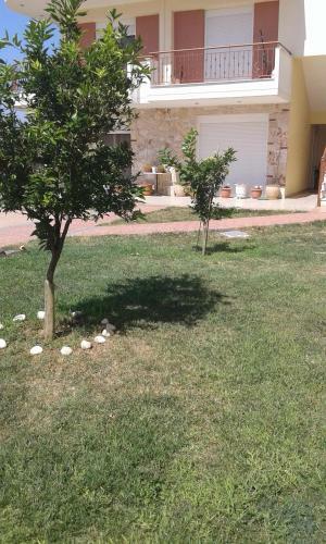 Theano Apartments