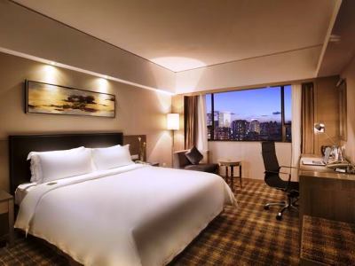 Hotel Grand Skylight (deluxe)