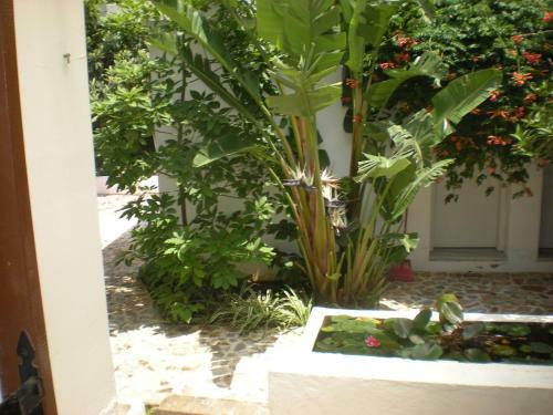 Apartamento Manolis' House