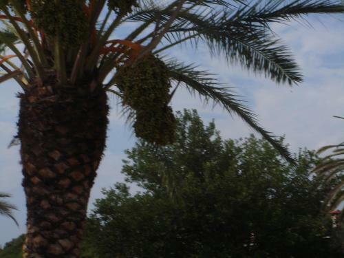 Mikiverna Maisonnette