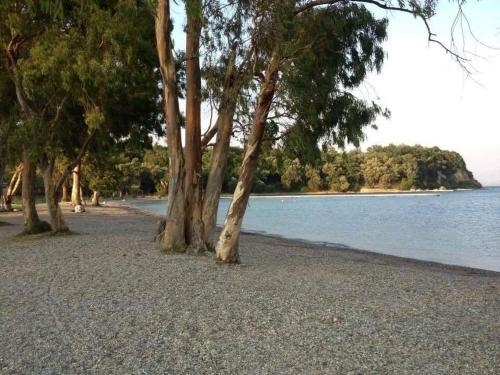 Efi & Sofia Apartments