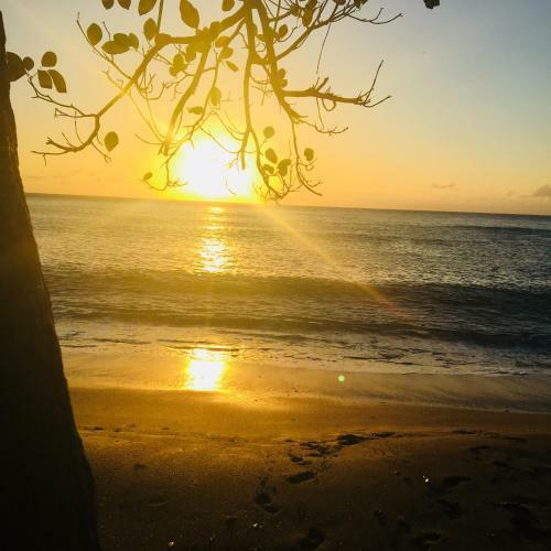G�te Les Reves D'or