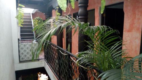 Hostal Hotel Dionisio