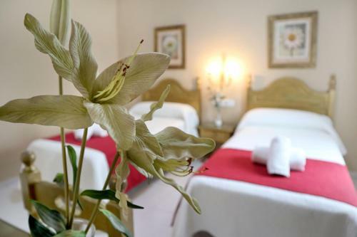 Hostal Victoria