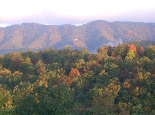 Ollie's Overlook