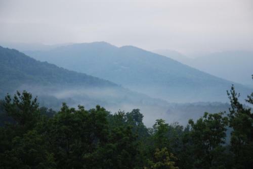 Ollie's Overlook