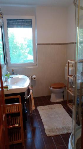 Anita Apartment
