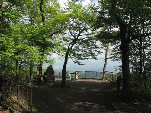 Hostal Plat�n Panzi�
