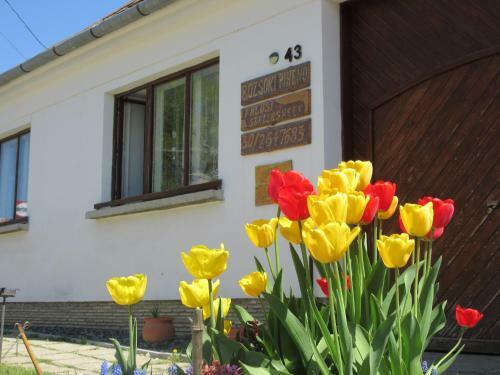 Apartamento Bozsoki Pihen?