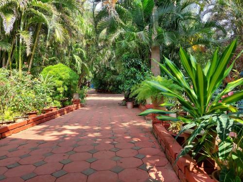 Hotel Palm Grove Cottages - Leisure Resort