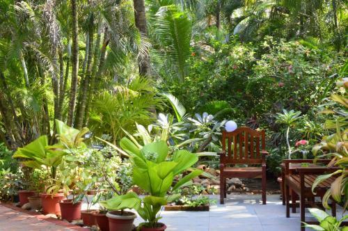 Hotel Palm Grove Cottages - Leisure Resort