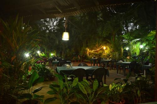 Hotel Palm Grove Cottages - Leisure Resort