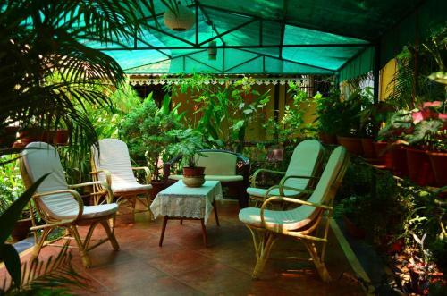 Hotel Palm Grove Cottages - Leisure Resort