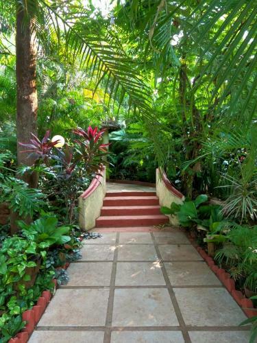 Hotel Palm Grove Cottages - Leisure Resort