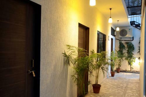 Kalpana Yoga Homestay