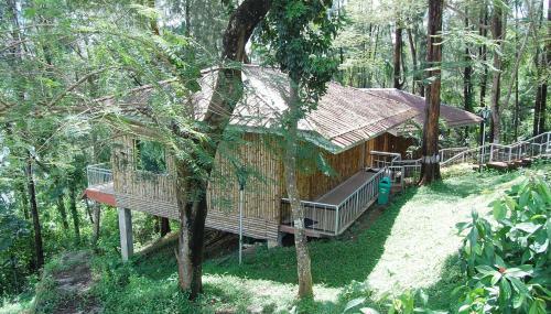 Hotel Megapode Resort
