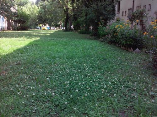 Apartamento Minigarzon