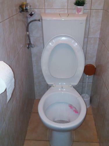 Apartamento Minigarzon