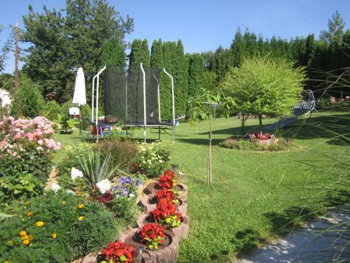 Sz�csi Apartment