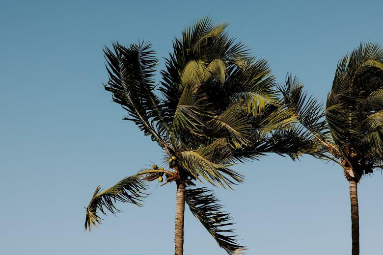 Key West Marriott Beachside Hotel