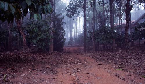 Hotel Wayanad Coffee Mist Resort