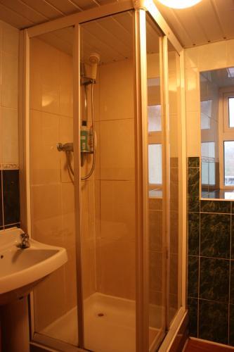Albergue Paddy's Palace Dingle Peninsula