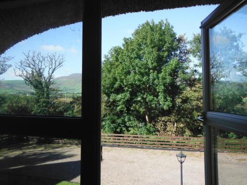 Albergue Paddy's Palace Dingle Peninsula