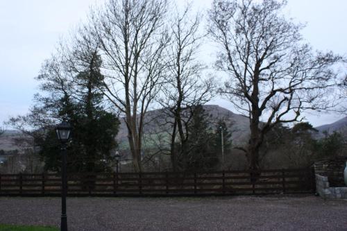 Albergue Paddy's Palace Dingle Peninsula