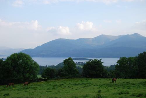 Old Killarney Cottages