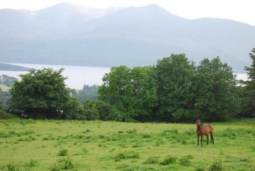 Old Killarney Cottages