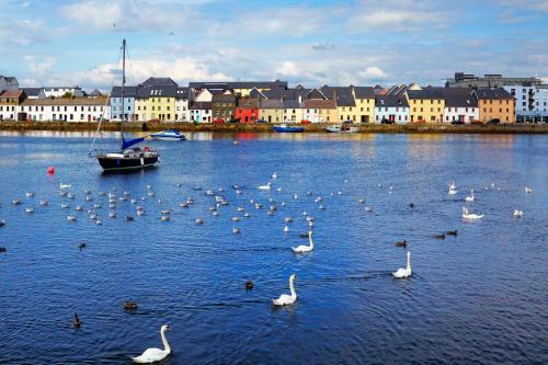 Cottage 227 - Oughterard