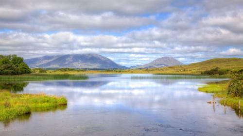 Cottage 227 - Oughterard