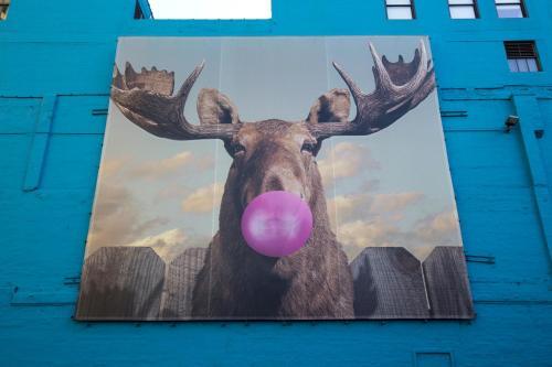 Hostal Hostelling International Chicago