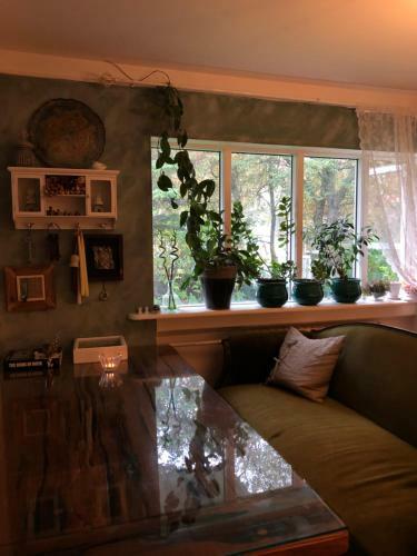 Hostal Mr. Midtun