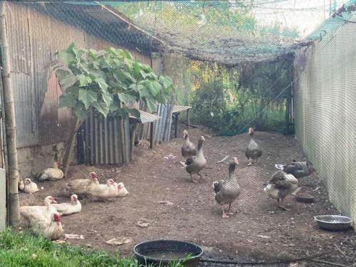 Agroturismo Ataalaya Farmhouse