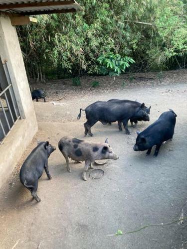 Agroturismo Ataalaya Farmhouse