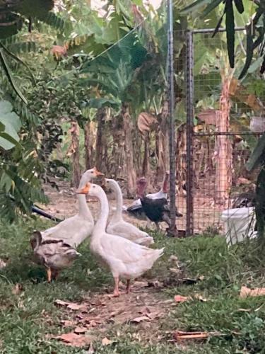 Agroturismo Ataalaya Farmhouse