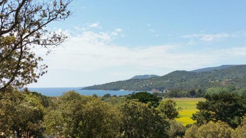 Camping Colomba