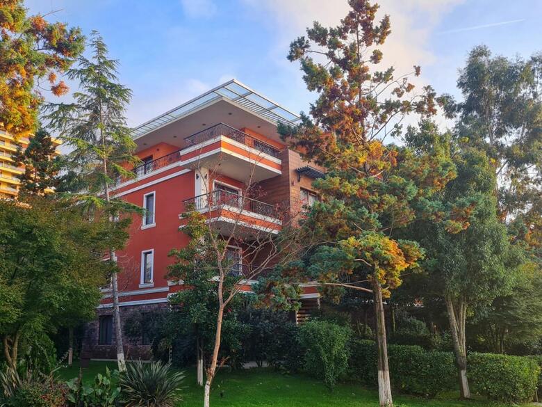 Luxury Dreamland Oasis Apartments