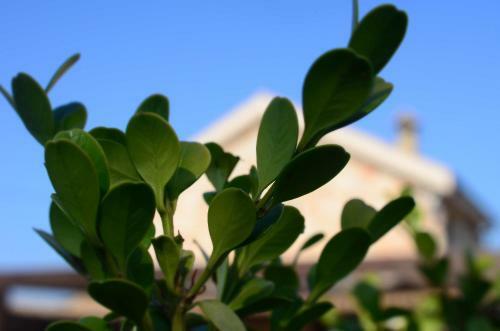 Mythos Holidays & Events